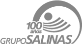 grupo salinas gcp global