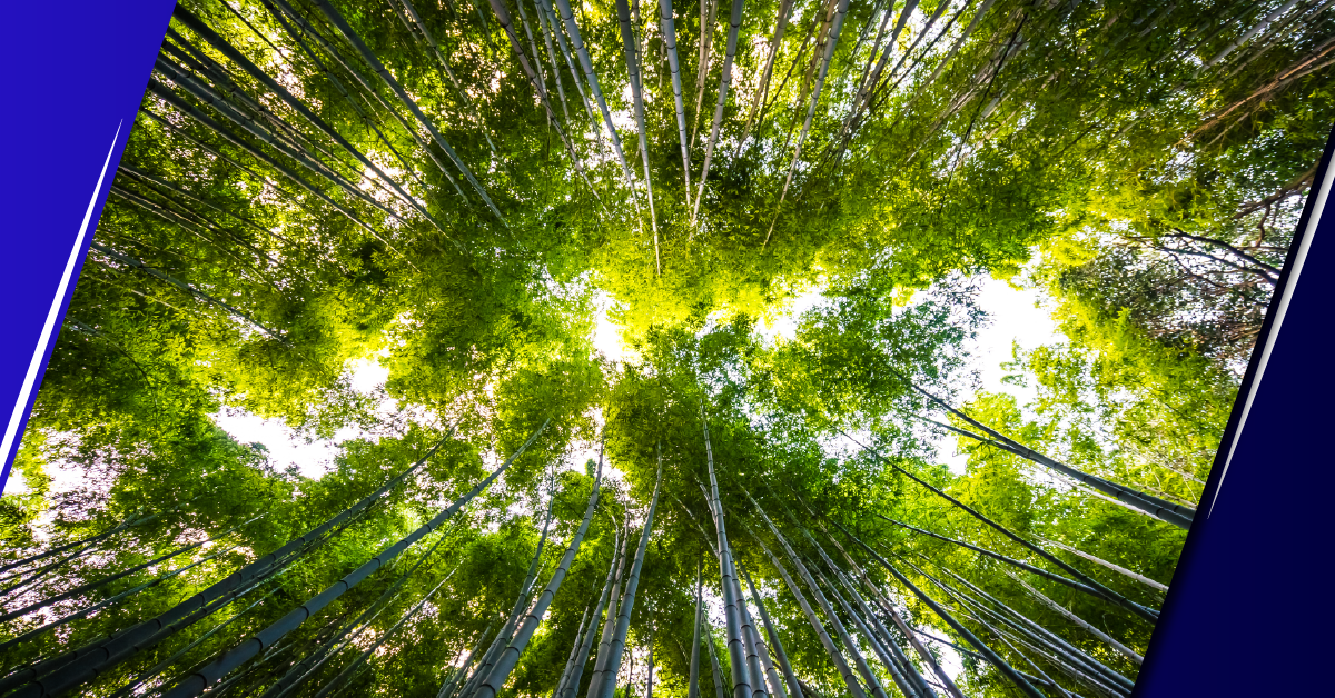 tendencias-cumplimiento-normativo-2024-2