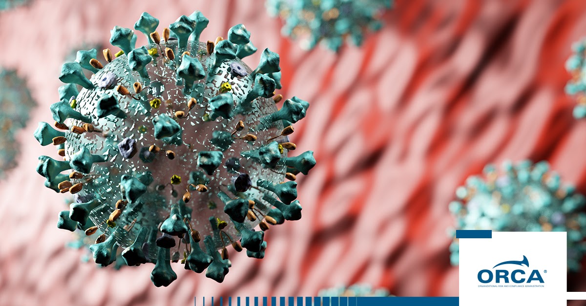 relaccion-proveedores